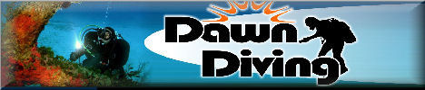Dawn Diving