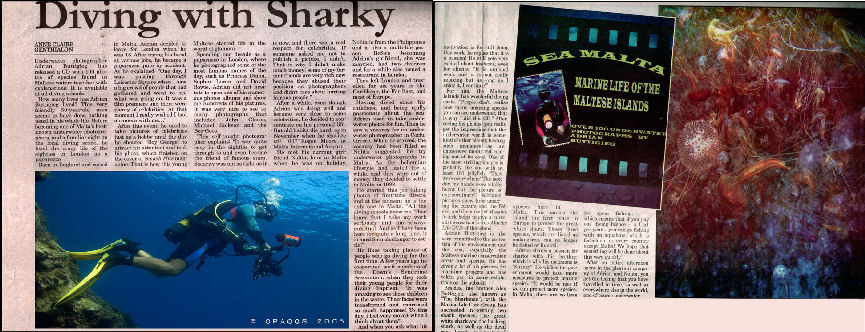Diving With Sharky
